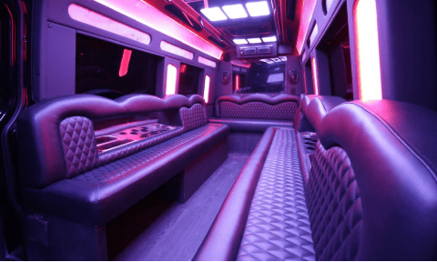 Henderson 14 Passenger Sprinter Bus Interior